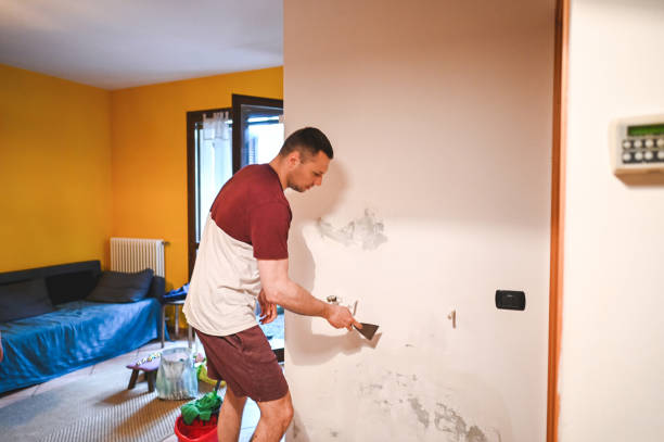 Best Residential Mold Remediation in Rochester, IL